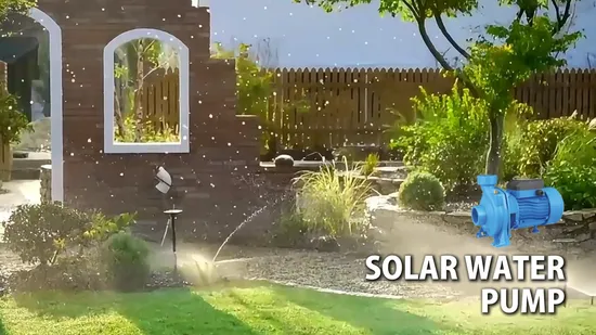 High Efficiency Brushless DC High Flow Solar Irrigation Surface Centrifugal Water Pump